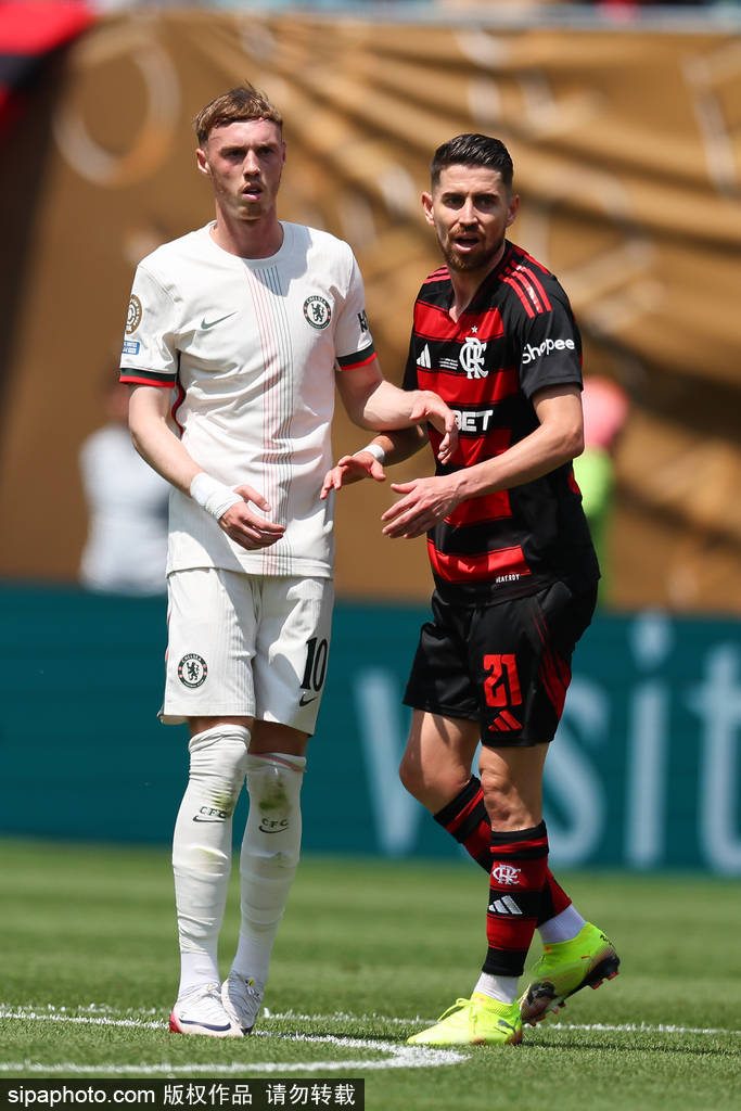 包含帕尔梅拉斯新星爆发,挑战阿尔希拉尔防线坚固的词条 包含帕尔梅拉斯新星爆发,挑战阿尔希拉尔防线坚固的词条