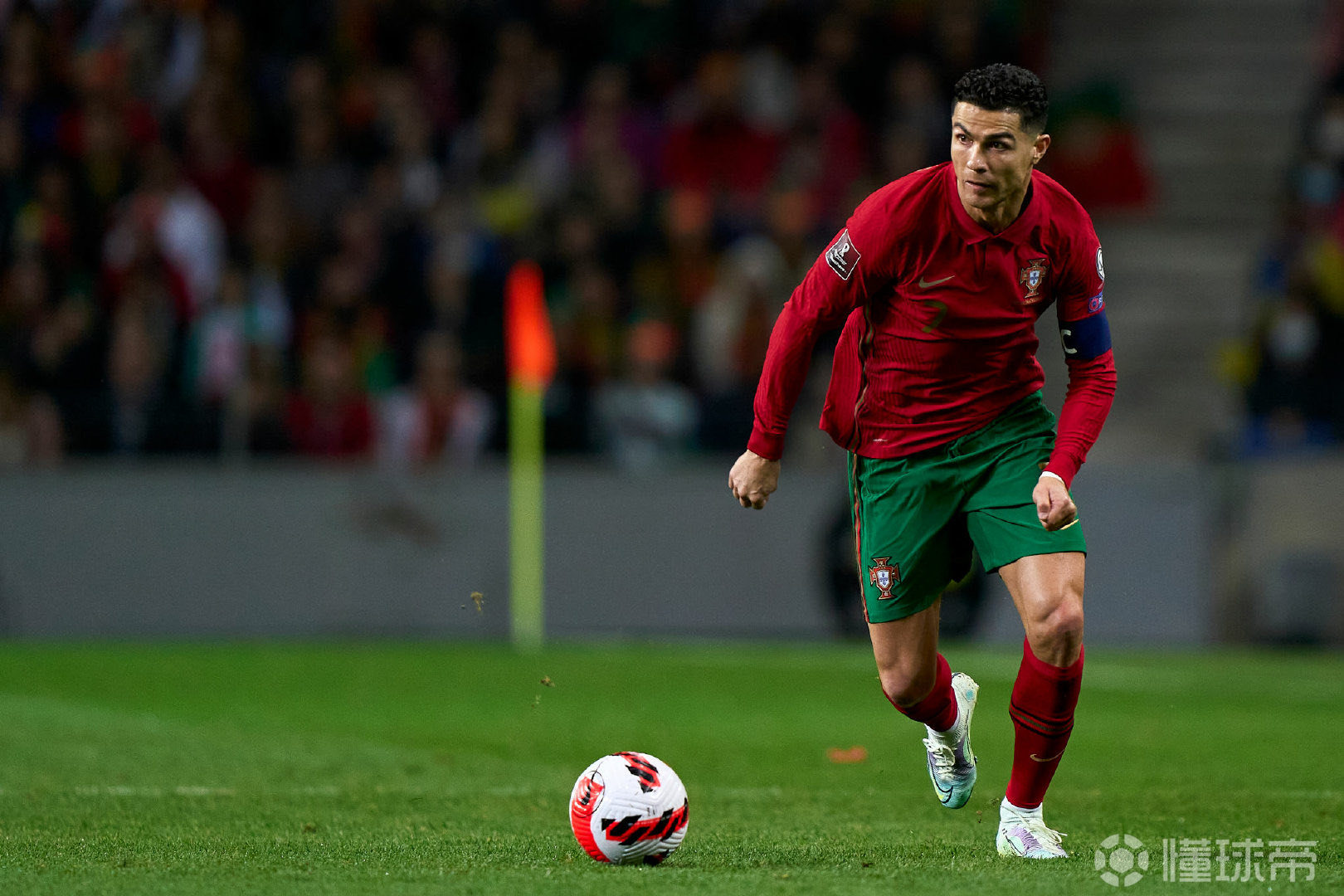 包含葡萄牙对北马其顿,领跑小组稳定的词条 包含葡萄牙对北马其顿,领跑小组稳定的词条