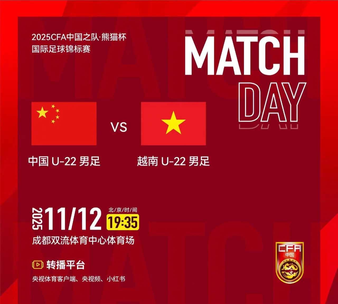 越南代表团在国际足球赛事中展现实力